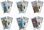 Load image into Gallery viewer, Birmingham FootWhere® Souvenir Magnets. 72 pieces/6 assorted styles.