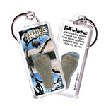 Load image into Gallery viewer, Catalina Island FootWhere® Souvenir Keychain. 72 pieces/ 6 assorted styles.