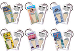 Load image into Gallery viewer, Florida FootWhere Souvenir Keychain. 72 pieces/ 6 assorted styles.