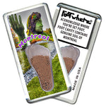 Load image into Gallery viewer, Montreal FootWhere Souvenir Magnets. 6 Piece Set. Made in USA