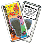 Load image into Gallery viewer, Phoenix FootWhere® Souvenir Magnet. 72 pieces/6 assorted styles.