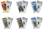 Load image into Gallery viewer, St. Louis FootWhere® Souvenir Magnets. 6 Piece Set. Made in USA