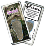 Load image into Gallery viewer, Savannah FootWhere® Souvenir Magnets. 6 Piece Set. Made in USA