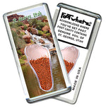 Load image into Gallery viewer, St. George, UT FootWhere® Souvenir Magnet. 72 pieces/6 assorted styles.