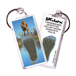 Load image into Gallery viewer, Tulsa FootWhere® Souvenir Keychain. 72 pieces/ 6 assorted styles.