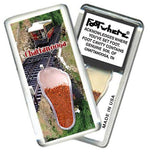 Load image into Gallery viewer, Chattanooga FootWhere® Souvenir Magnet. Made in USA-FootWhere® Souvenirs