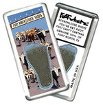 Load image into Gallery viewer, Fort Worth FootWhere® Souvenir Fridge Magnets. 6 Piece Set. Made in USA-FootWhere® Souvenirs