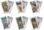 Load image into Gallery viewer, Hot Springs FootWhere® Souvenir Fridge Magnets. 6 Piece Set. Made in USA - FootWhere® Souvenir Shop