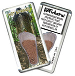 Load image into Gallery viewer, Hot Springs FootWhere® Souvenir Fridge Magnet. Made in USA - FootWhere® Souvenir Shop