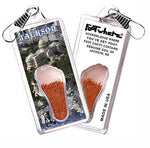 Load image into Gallery viewer, Jackson, MS FootWhere® Souvenir Zipper-Pull. Made in USA-FootWhere® Souvenirs