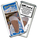 Load image into Gallery viewer, Rochester FootWhere® Souvenir Fridge Magnets. 6 Piece Set. Made in USA-FootWhere® Souvenirs