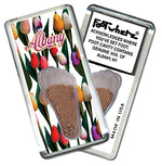 Load image into Gallery viewer, Albany, NY FootWhere® Souvenir Magnet. 72 pieces/ 6 assorted styles.
