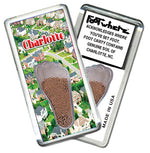Load image into Gallery viewer, Charlotte FootWhere® Souvenir Magnet. 72 pieces/ 6 assorted styles.
