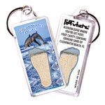Load image into Gallery viewer, Clearwater FootWhere Souvenir Keychains. 6 Piece Set. Made in USA