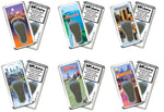 Load image into Gallery viewer, Minnenapolis FootWhere Souvenir Magnets. 6 Piece Set. Made in USA