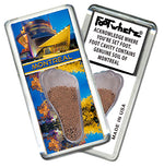 Load image into Gallery viewer, Montreal FootWhere Souvenir Magnets. 72 pieces/6 assorted styles.