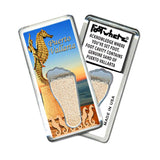 Puerto Vallarta FootWhere® Souvenir Fridge Magnet. Made in USA - FootWhere® Souvenir Shop