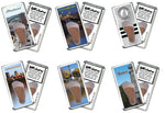 Load image into Gallery viewer, Manchester FootWhere® Souvenir Magnets. 6 Piece Set. Made in USA
