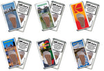 Load image into Gallery viewer, Rochester FootWhere® Souvenir Magnet. 72 pieces/ 6 assorted styles.
