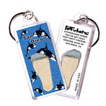 Load image into Gallery viewer, San Diego FootWhere® Souvenir Keychains. 6 Piece Set. Made in USA
