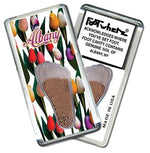 Load image into Gallery viewer, Albany, NY FootWhere® Souvenir Fridge Magnet. Made in USA-FootWhere® Souvenirs
