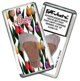 Albany, NY FootWhere® Souvenir Fridge Magnets. 6 Piece Set. Made in USA-FootWhere® Souvenirs