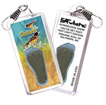 Load image into Gallery viewer, Baltimore FootWhere® Souvenir Zipper-Pulls. 6 Piece Set. Made in USA-FootWhere® Souvenirs
