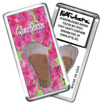 Load image into Gallery viewer, Charlotte FootWhere® Souvenir Magnet. Made in USA-FootWhere® Souvenirs
