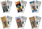 Cairo FootWhere® Souvenir Fridge Magnets. 6 Piece Set. Made in USA-FootWhere® Souvenirs