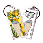 Load image into Gallery viewer, Florida FootWhere® Souvenir Keychain. 72 pieces/ 6 assorted styles.
