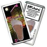 Gainesville, FL FootWhere® Souvenir Fridge Magnet. Made in USA-FootWhere® Souvenirs