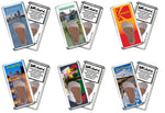 Load image into Gallery viewer, Rochester FootWhere® Souvenir Fridge Magnets. 6 Piece Set. Made in USA-FootWhere® Souvenirs
