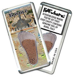 Load image into Gallery viewer, Rome, Italy FootWhere® Souvenir Fridge Magnet. Made in USA-FootWhere® Souvenirs
