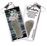 Load image into Gallery viewer, Savannah FootWhere® Souvenir Zipper-Pull. Made in USA-FootWhere® Souvenirs
