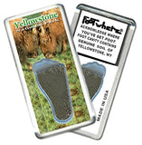 Yellowstone, WY FootWhere® Souvenir Magnet. 72 pieces/6 assorted styles.-FootWhere® Souvenirs
